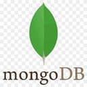 Mongo DB